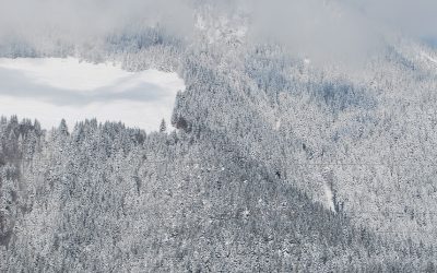 Rénover sa façade avant l’hivers